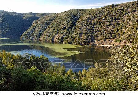Stock Image - International Tajo Natural Park, Caceres-province, Spain,. Fotosearch