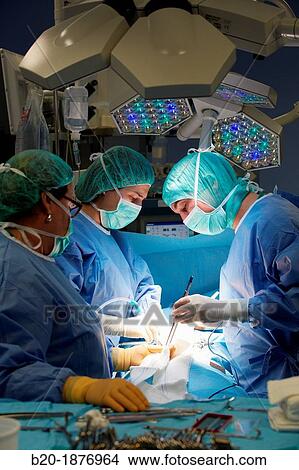 Intervention prostate, Urology operating room, Surgery, Hospital Donostia, San Sebastian, Gipuzkoa, Basque Country, Spain View Large Photo Image Picture - Intervention prostate, Urology operating room, Surgery, Hospital Donostia, San Sebastian, Gipuzkoa, Basque Country, Spain. Fotosearch