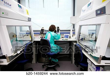 Picture - Inverted microscope, Cell Culture Unit, Research in Oncology and Regenerative Medicine, Biodonostia Health and Biomedicine Research Institute, San Sebastian, Donostia, Gipuzkoa, Euskadi, Spain. Fotosearch