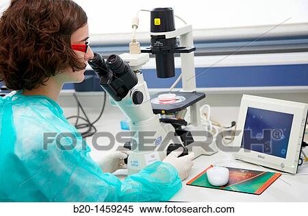 Inverted microscope, Cell Culture Unit, Research in Oncology and Regenerative Medicine, Biodonostia Health and Biomedicine Research Institute, San Sebastian, Donostia, Gipuzkoa, Euskadi, Spain View Large Photo Image Stock Photography - Inverted microscope, Cell Culture Unit, Research in Oncology and Regenerative Medicine, Biodonostia Health and Biomedicine Research Institute, San Sebastian, Donostia, Gipuzkoa, Euskadi, Spain. Fotosearch