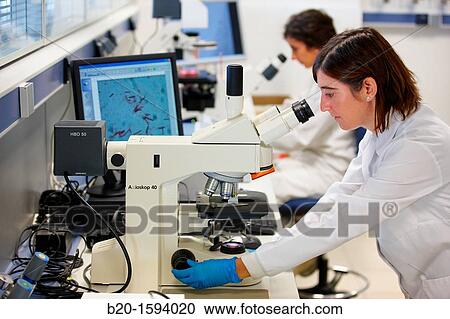 Inverted optical microscope View Large Photo Image Stock Image - Inverted optical microscope. Fotosearch