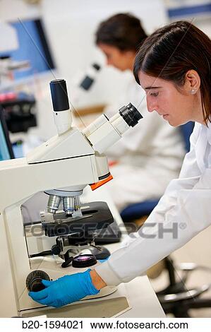 Inverted optical microscope View Large Photo Image Stock Image - Inverted optical microscope. Fotosearch