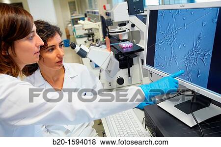 Stock Photo - Inverted optical microscope. Fotosearch