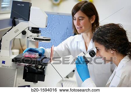 Inverted optical microscope View Large Photo Image Stock Photograph - Inverted optical microscope. Fotosearch