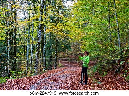 Irati Forest in autumn. Navarre, Spain. Europe. View Large Photo Image Stock Photo - Irati Forest in autumn. Navarre, Spain. Europe.. Fotosearch