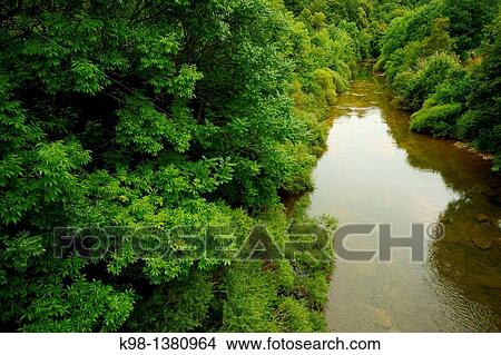Irati river, Orbara, Grand tour 11, Navarra Pyrenees Mountains Spain View Large Photo Image Picture - Irati river, Orbara, Grand tour 11, Navarra Pyrenees Mountains Spain. Fotosearch