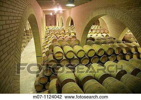 Stock Image - Iratxe Vines, Camino de Santiago, Navarra, Navarre, SpainBodegas Irache, Barricas. Fotosearch