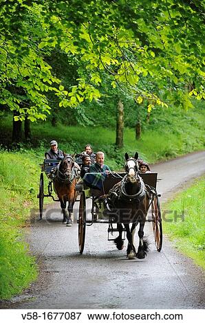 Ireland, County Kerry, Killarney, Muckross Gardens, Horse carriages View Large Photo Image Stock Photo - Ireland, County Kerry, Killarney, Muckross Gardens, Horse carriages. Fotosearch