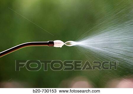 Irrigation with sprayer, garden View Large Photo Image Stock Image - Irrigation with sprayer, garden. Fotosearch