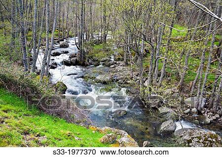 Iruelas river in the Cruceras. Sierra de Gredos. Avila. Castilla Leon. Spain. View Large Photo Image Stock Image - Iruelas river in the Cruceras. Sierra de Gredos. Avila. Castilla Leon. Spain.. Fotosearch