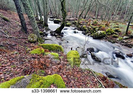 Iruelas river in the Sierra de Gredos? vila Castilla Le? n Spain View Large Photo Image Stock Image - Iruelas river in the Sierra de Gredos? vila Castilla Le? n Spain. Fotosearch