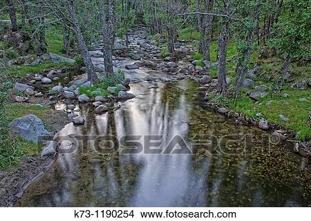 Picture - Iruelas River Iruelas Valley Natural Reserve Avila province Castilla y Leon Spain. Fotosearch