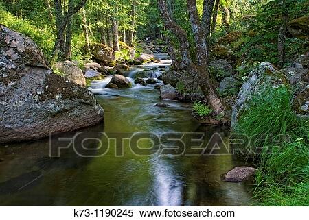 Iruelas River Iruelas Valley Natural Reserve Avila province Castilla y Leon Spain View Large Photo Image Stock Photography - Iruelas River Iruelas Valley Natural Reserve Avila province Castilla y Leon Spain. Fotosearch