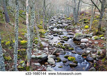 Iruelas river Sierra de Gredos? vila Castilla Le? n Spain View Large Photo Image Picture - Iruelas river Sierra de Gredos? vila Castilla Le? n Spain. Fotosearch