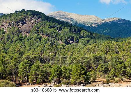 Iruelas Valley in the Sierra de Gredos? vila Castilla Le? n Spain View Large Photo Image Stock Photography - Iruelas Valley in the Sierra de Gredos? vila Castilla Le? n Spain. Fotosearch
