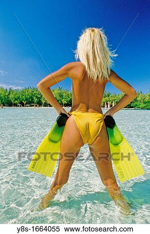 Isle aux Cerfs Beach View Large Photo Image Stock Photography - Isle aux Cerfs Beach. Fotosearch