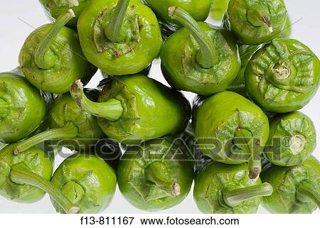 isolated stuffed peppers in bazaar View Large Photo Image Stock Photo - isolated stuffed peppers in bazaar. Fotosearch
