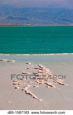 Israel, Dead Sea, Ein Bokek, salt deposits by the Dead Sea View Large Photo Image Stock Image - Israel, Dead Sea, Ein Bokek, salt deposits by the Dead Sea. Fotosearch