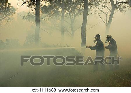 Israel, Haifa Carmel Mountain Forest, fire fighters fighting the flames View Large Photo Image Stock Photo - Israel, Haifa Carmel Mountain Forest, fire fighters fighting the flames. Fotosearch