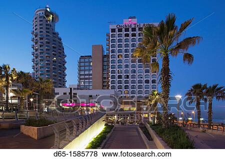 Israel, Tel Aviv, beachfront hotels, dawn View Large Photo Image Stock Photo - Israel, Tel Aviv, beachfront hotels, dawn. Fotosearch