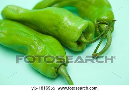 Stock Photography - italian green peppers with green background. Valencia. Spain. Fotosearch