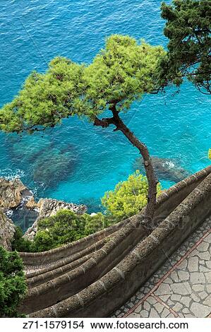 Italy, Campania, Capri, Via Krupp, scenery, View Large Photo Image Picture - Italy, Campania, Capri, Via Krupp, scenery,. Fotosearch