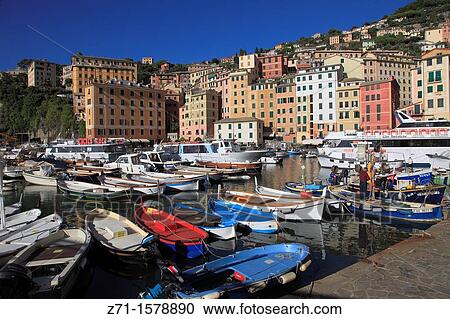 Italy, Liguria, Camogli, harbour, boats, general view, View Large Photo Image Stock Image - Italy, Liguria, Camogli, harbour, boats, general view,. Fotosearch