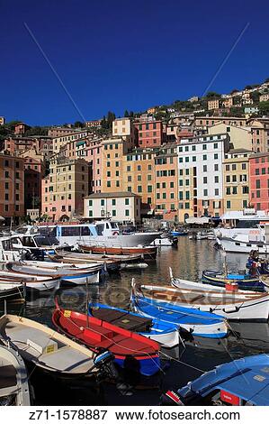 Stock Photo - Italy, Liguria, Camogli, harbour, boats, general view,. Fotosearch