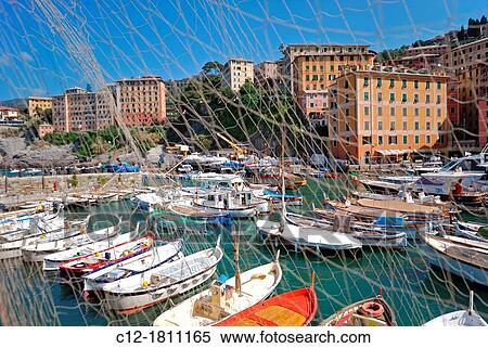 Italy, Liguria, West Coast, Camogli View Large Photo Image Stock Photography - Italy, Liguria, West Coast, Camogli. Fotosearch