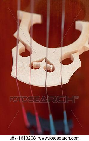 Stock Photo - Italy, Lombardy, Cremona, Violin Maker Worshop, Close up Violin. Fotosearch