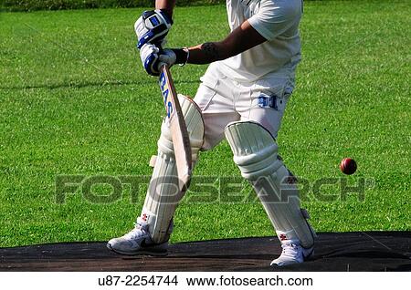 Italy, Lombardy, Cricket Sports Batsman Batting. View Large Photo Image Picture - Italy, Lombardy, Cricket Sports Batsman Batting.. Fotosearch