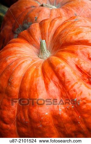Picture - Italy, Lombardy, Market, Pumpkin.. Fotosearch