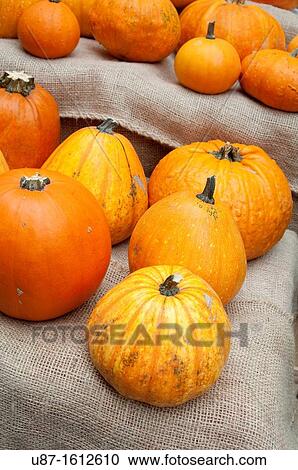 Stock Image - Italy, Lombardy, Orange Pumpkin. Fotosearch