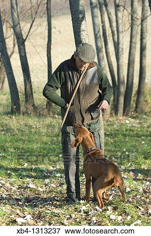 Italy, Piedmont, Canelli, looking for truffles. View Large Photo Image Stock Photo - Italy, Piedmont, Canelli, looking for truffles.. Fotosearch