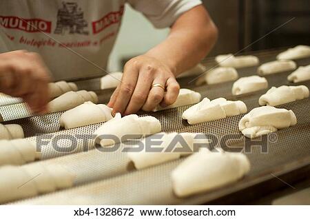 Italy, Piedmont, Turin, bread kneading at Panificio Perfetti Giorgio. View Large Photo Image Stock Image - Italy, Piedmont, Turin, bread kneading at Panificio Perfetti Giorgio.. Fotosearch