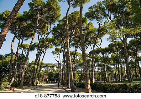 Italy, Rome, Villa Borghese Gardens. Home to the Galleria Borghese. View Large Photo Image Stock Photo - Italy, Rome, Villa Borghese Gardens. Home to the Galleria Borghese.. Fotosearch