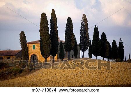 Italy. Tuscany. Val d? Orcia. Near Pienza View Large Photo Image Picture - Italy. Tuscany. Val d? Orcia. Near Pienza. Fotosearch