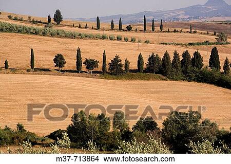Italy. Tuscany. Val d? Orcia View Large Photo Image Picture - Italy. Tuscany. Val d? Orcia. Fotosearch