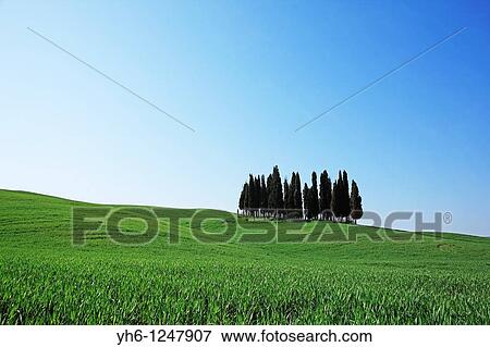 Italy, Tuscany, Val d? Orcia View Large Photo Image Stock Photo - Italy, Tuscany, Val d? Orcia. Fotosearch