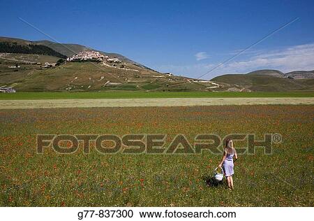 Italy Umbria Norcia Castelluccio di Norcia Woman in poppies field MODEL RELEASE 1108 MODEL RELEASE 1108 View Large Photo Image Stock Image - Italy Umbria Norcia Castelluccio di Norcia Woman in poppies field MODEL RELEASE 1108 MODEL RELEASE 1108. Fotosearch