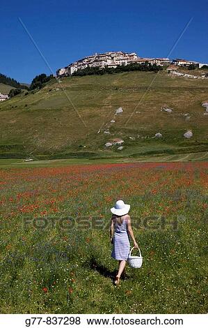 Italy Umbria Norcia Castelluccio di Norcia Woman in poppies field MODEL RELEASE 1108 View Large Photo Image Stock Photo - Italy Umbria Norcia Castelluccio di Norcia Woman in poppies field MODEL RELEASE 1108. Fotosearch