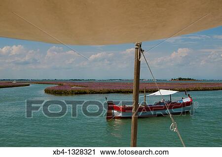 Stock Image - Italy, Venice, cruising the lagune with Eolo, a traditional Venetian fishing boat called? bragozzo?. Fotosearch