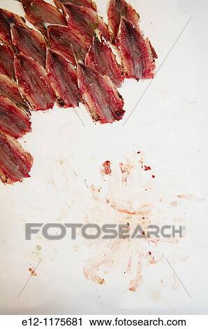 Italy, Venice, Laguna, Islands, the market of the Rialto sardins. View Large Photo Image Stock Image - Italy, Venice, Laguna, Islands, the market of the Rialto sardins.. Fotosearch