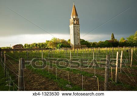 Italy, Venice, Mazzorbo island, Estate of Scarpa Volo, now Venissa hotel and restaurant, vineyards. View Large Photo Image Stock Image - Italy, Venice, Mazzorbo island, Estate of Scarpa Volo, now Venissa hotel and restaurant, vineyards.. Fotosearch