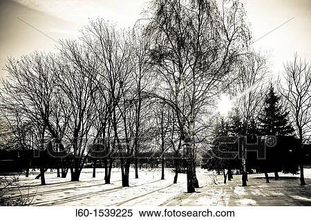 Izmajlovo park, Moscow, Russia View Large Photo Image Stock Photography - Izmajlovo park, Moscow, Russia. Fotosearch