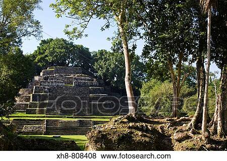 Jaguar Temple (Structure N10-9), Lamanai, Belize View Large Photo Image Stock Photo - Jaguar Temple (Structure N10-9), Lamanai, Belize. Fotosearch