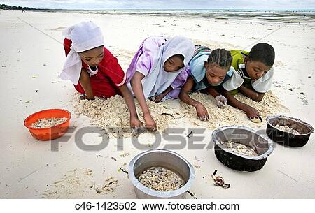 Jambiani beach, children picking conchs Zanzibar Island Tanzania. View Large Photo Image Stock Image - Jambiani beach, children picking conchs Zanzibar Island Tanzania.. Fotosearch