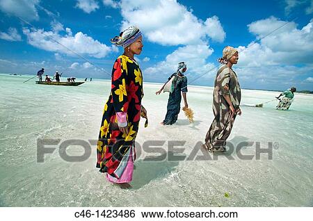 Jambiani beach, Zanzibar Island, Tanzania View Large Photo Image Stock Photograph - Jambiani beach, Zanzibar Island, Tanzania. Fotosearch