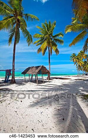 Jambiani beach Zanzibar Island Tanzania. View Large Photo Image Stock Image - Jambiani beach Zanzibar Island Tanzania.. Fotosearch