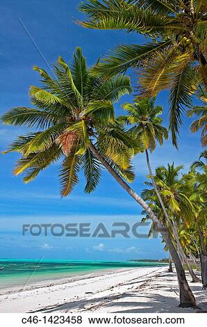 Jambiani beach Zanzibar Island Tanzania. View Large Photo Image Stock Photo - Jambiani beach Zanzibar Island Tanzania.. Fotosearch